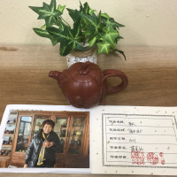 清水泥南瓜壶