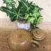 黄降坡梅香壶