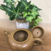 黄降坡梅香壶
